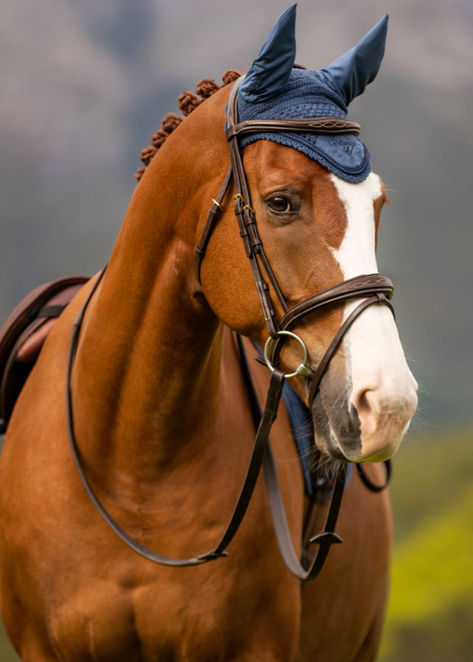 LeMieux Lemieux Classic  Oornetje