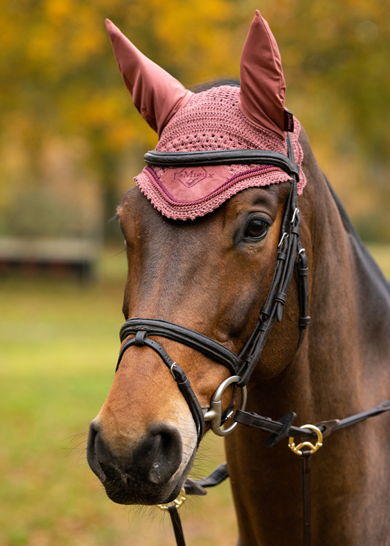 LeMieux Lemieux Classic  Oornetje