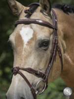LJ Leathers LJ Pro, Legacy/Filuma Hoofdstel ps105-613