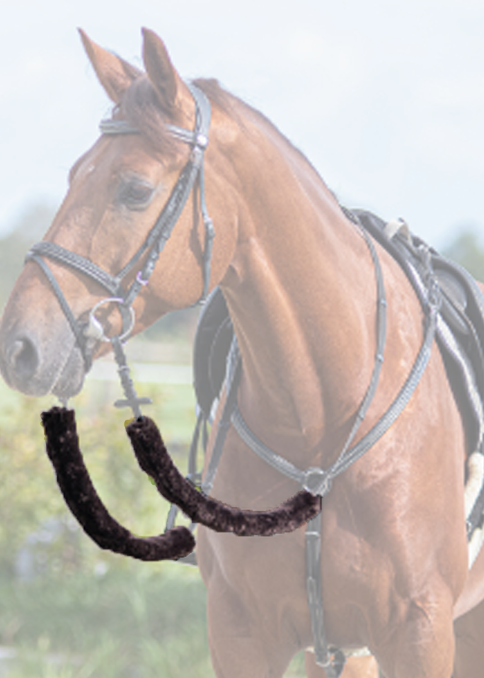 QHP QHP  Teugel Bontje  2173