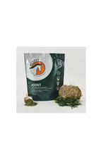 Actifyt Actifyt Joint 1kg