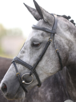 LJ Leathers LJ Anatomic, gecombineerd Hoofdstel
