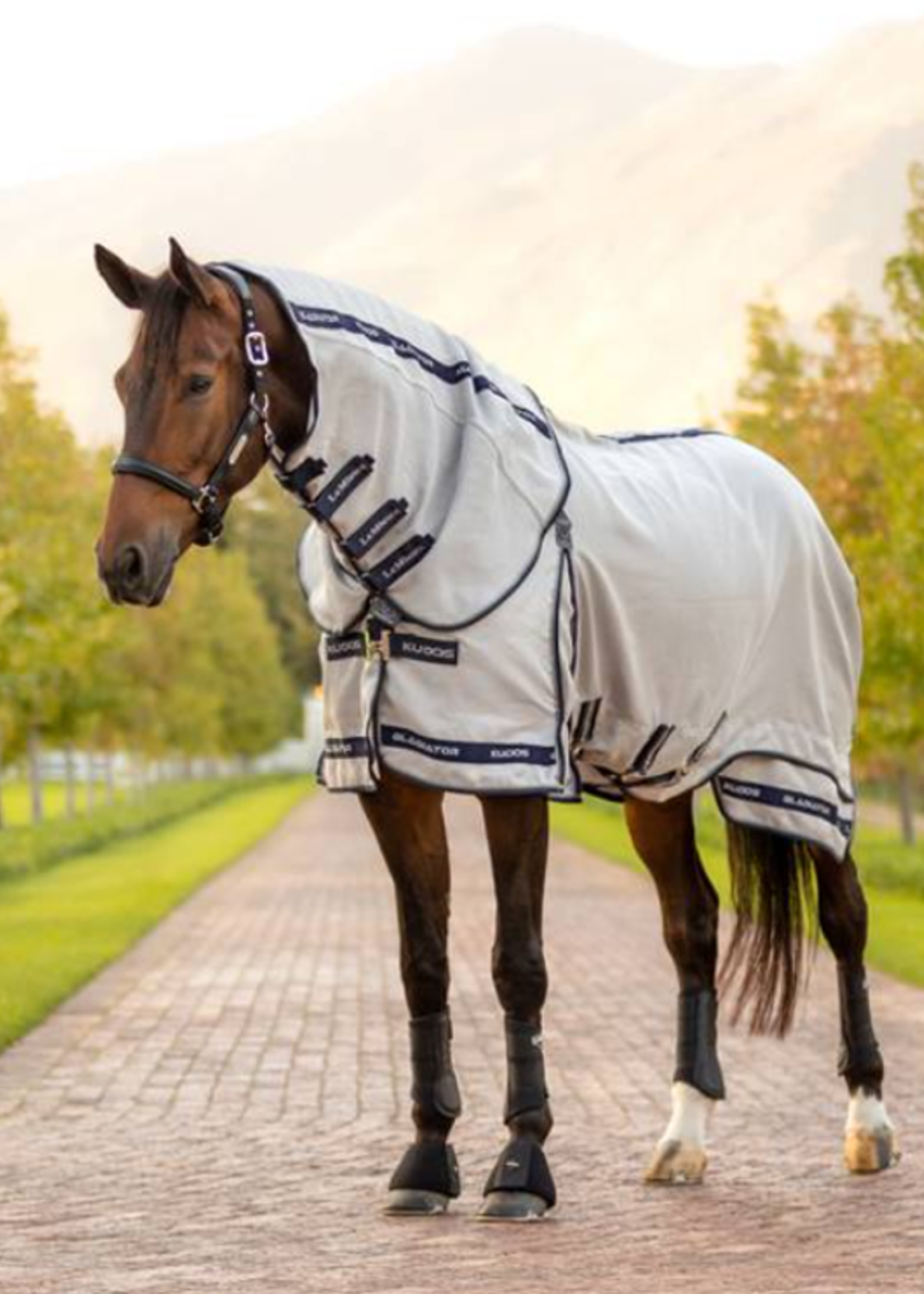 LeMieux Lemieux Kudos Gladiator M Afneenbare Hals Vliegen  Deken