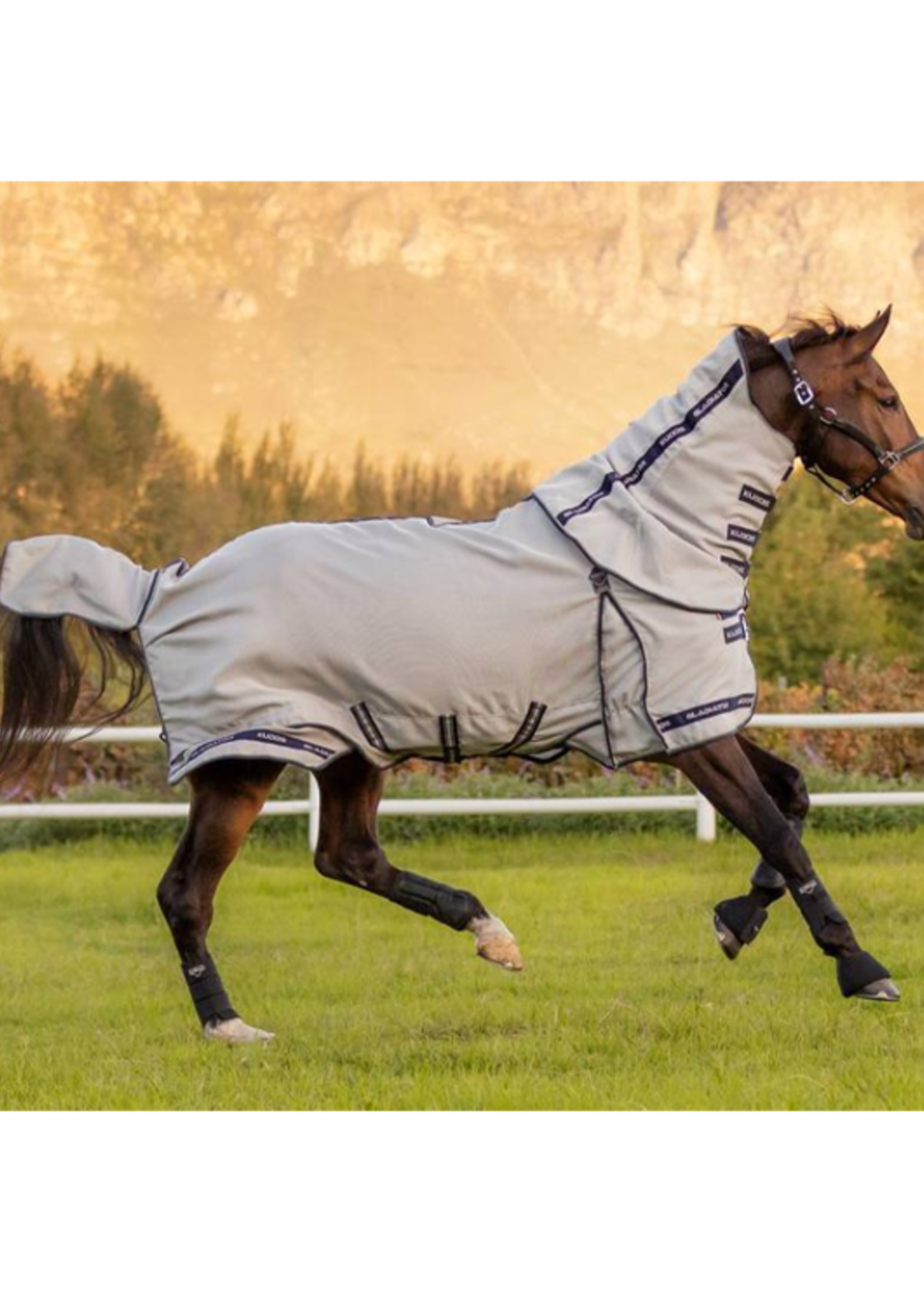 LeMieux Lemieux Kudos Gladiator M Afneenbare Hals Vliegen  Deken