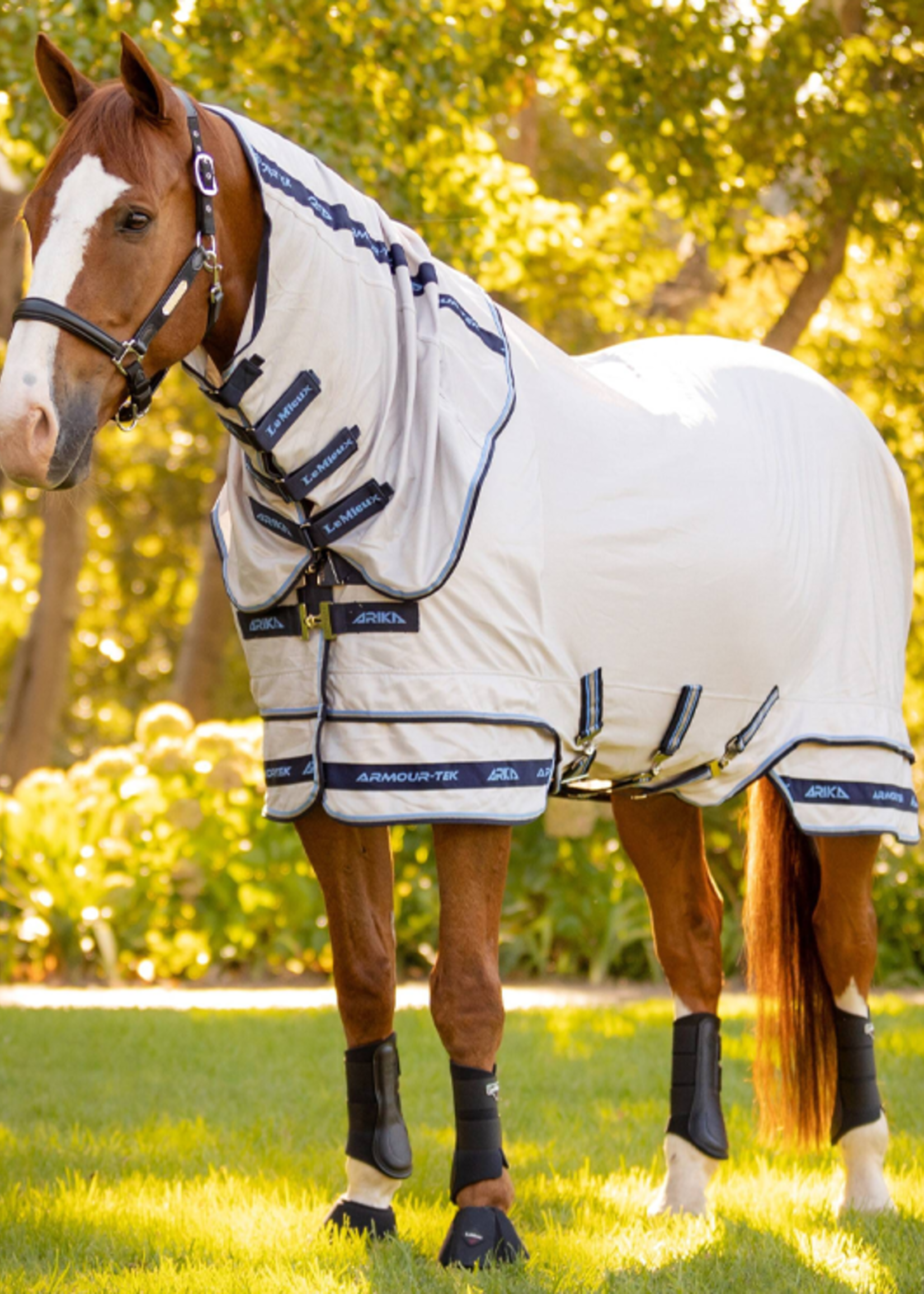 LeMieux Lemieux Arika Armour-Tek M Afneenbare Hals Vliegen  Deken