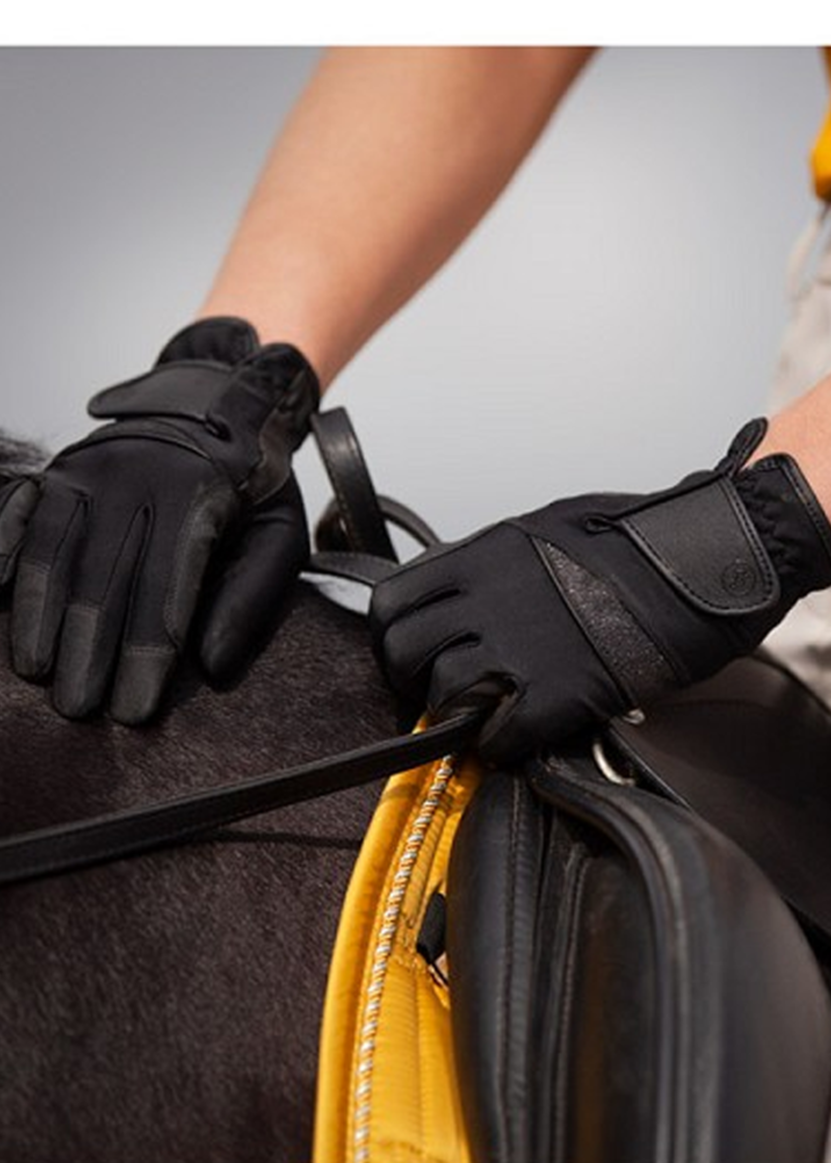 BR BR Erica Handschoenen 709167