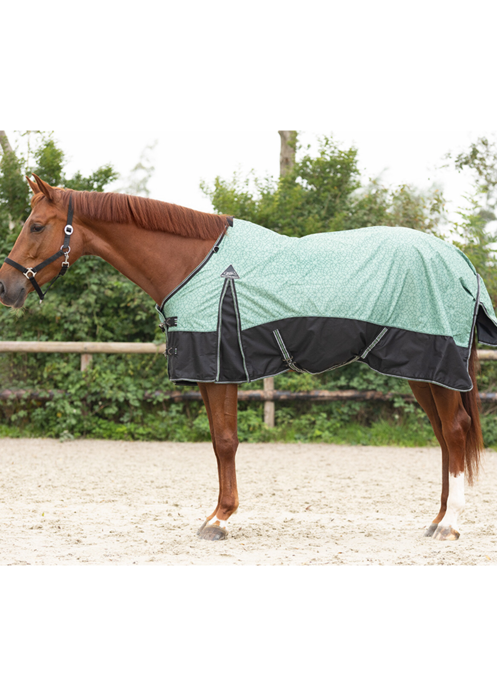 QHP QHP Collectie  Waterdichte Deken 0gr  6338