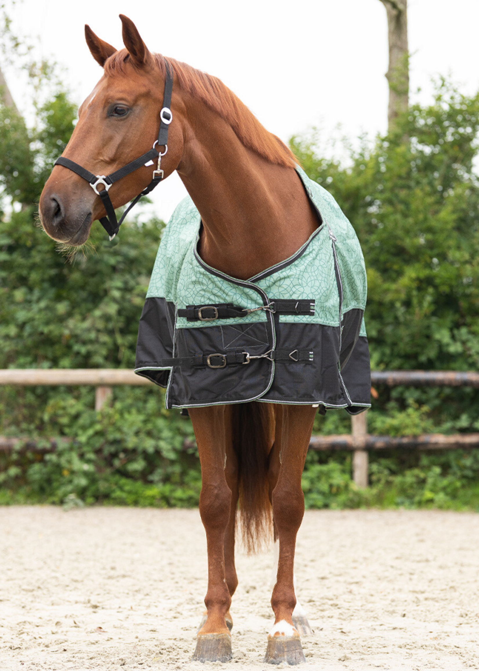 QHP QHP Collectie  Waterdichte Deken 0gr  6338