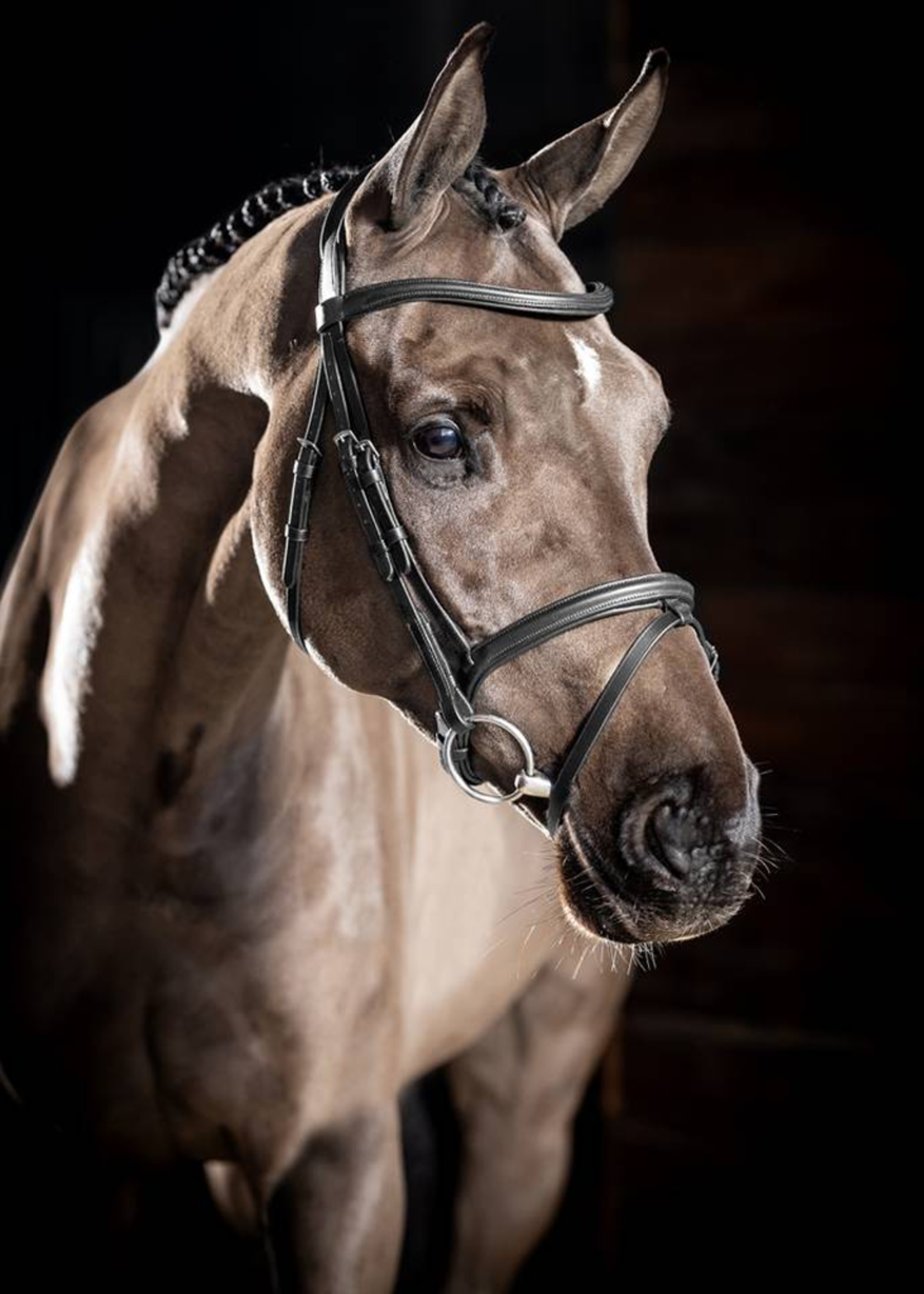 LeMieux Lemieux Arika Flash Hoofdstel