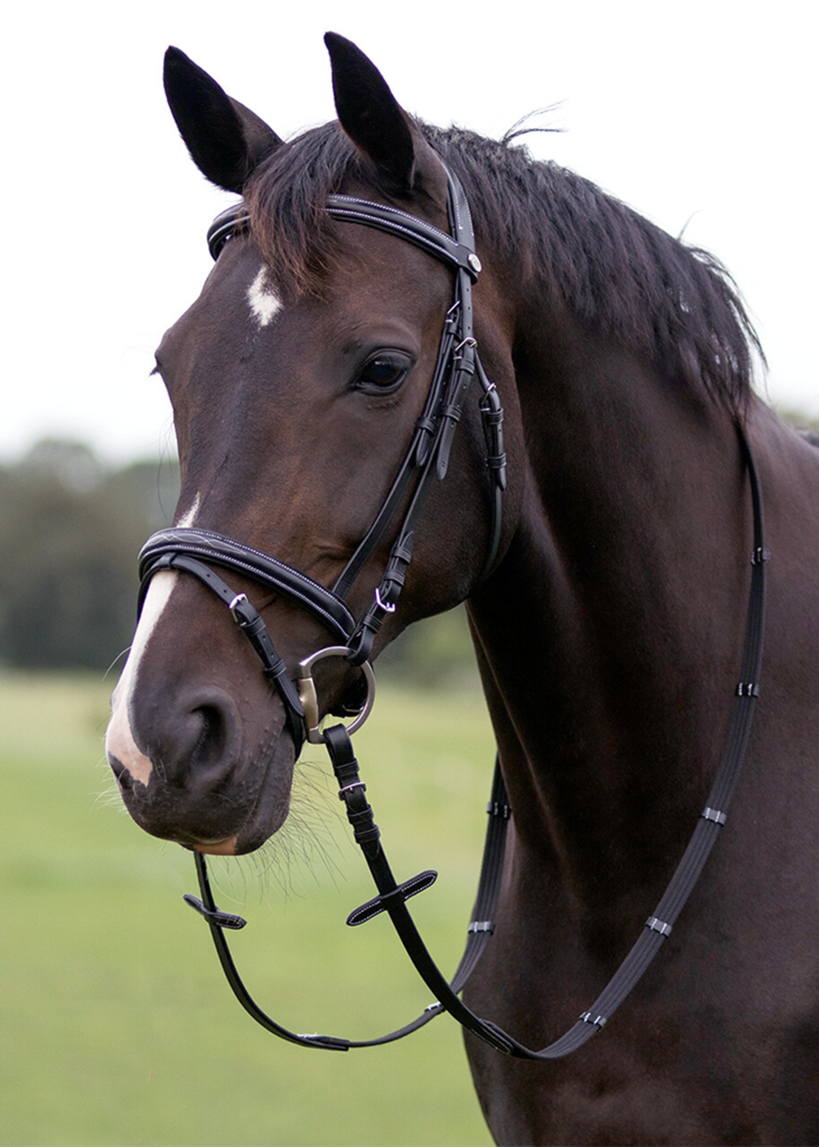 QHP QHP  Luxe Hoofdstel 2021