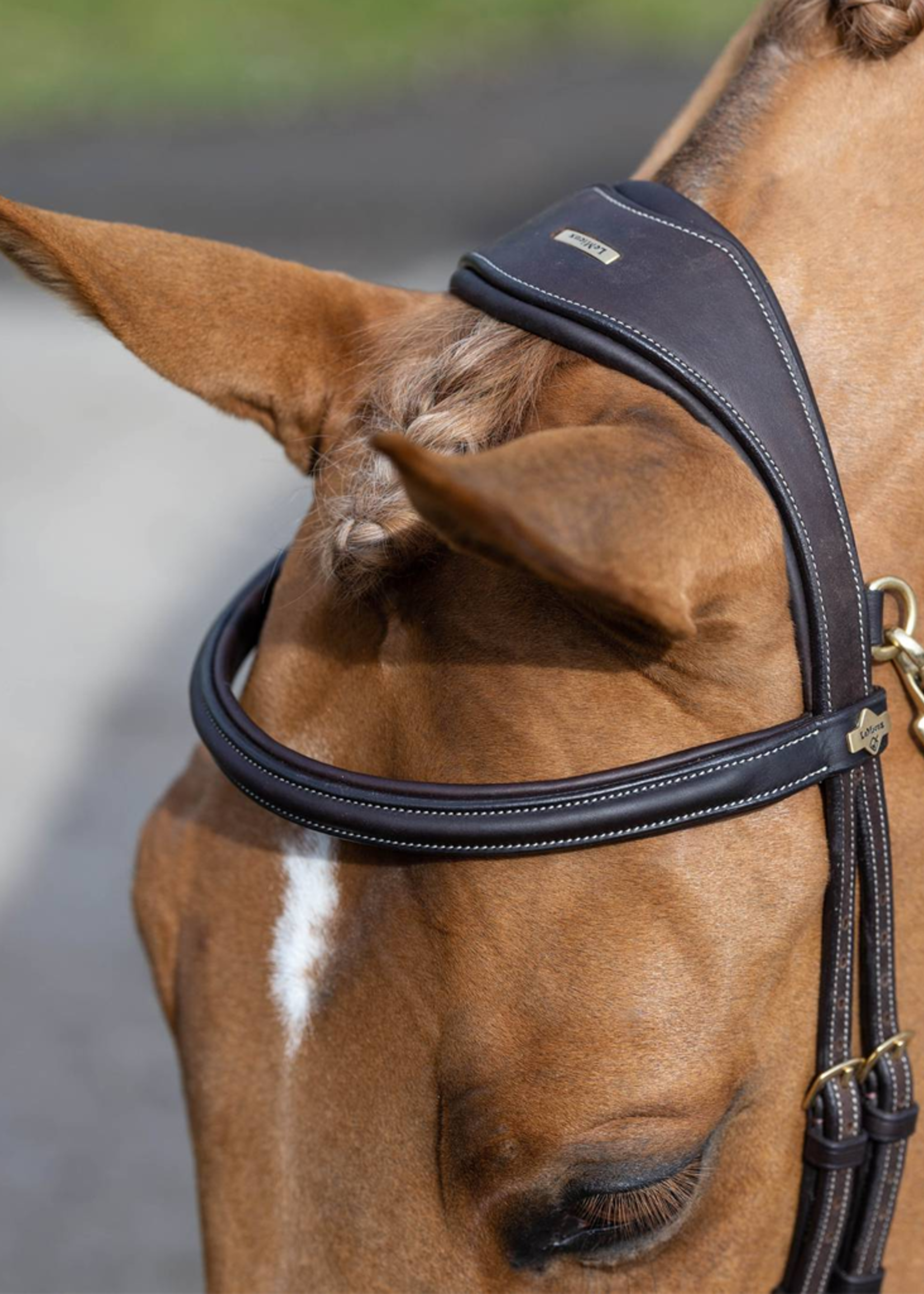 LeMieux Lemieux Kudos Work  Hoofdstel