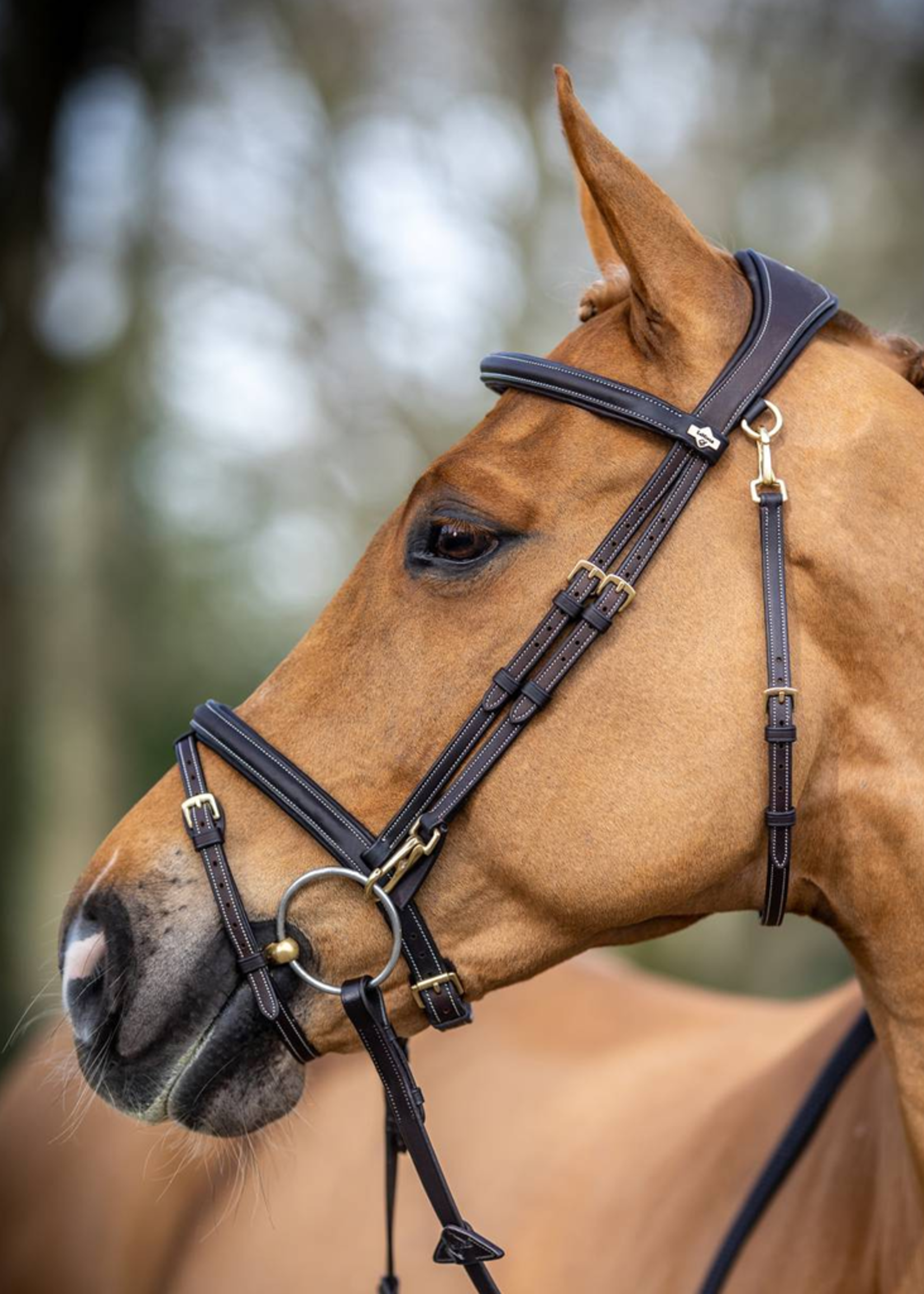 LeMieux Lemieux Kudos Work  Hoofdstel