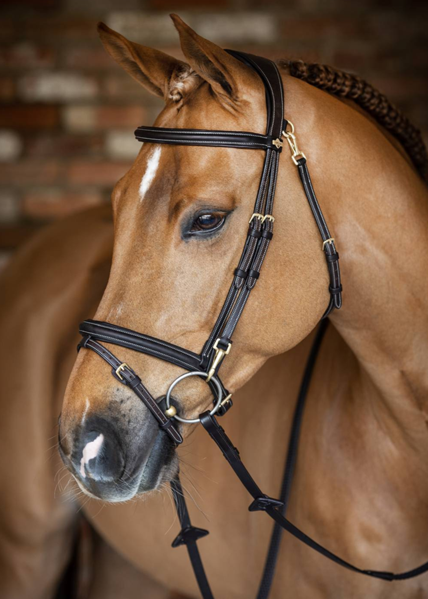 LeMieux Lemieux Kudos Work  Hoofdstel