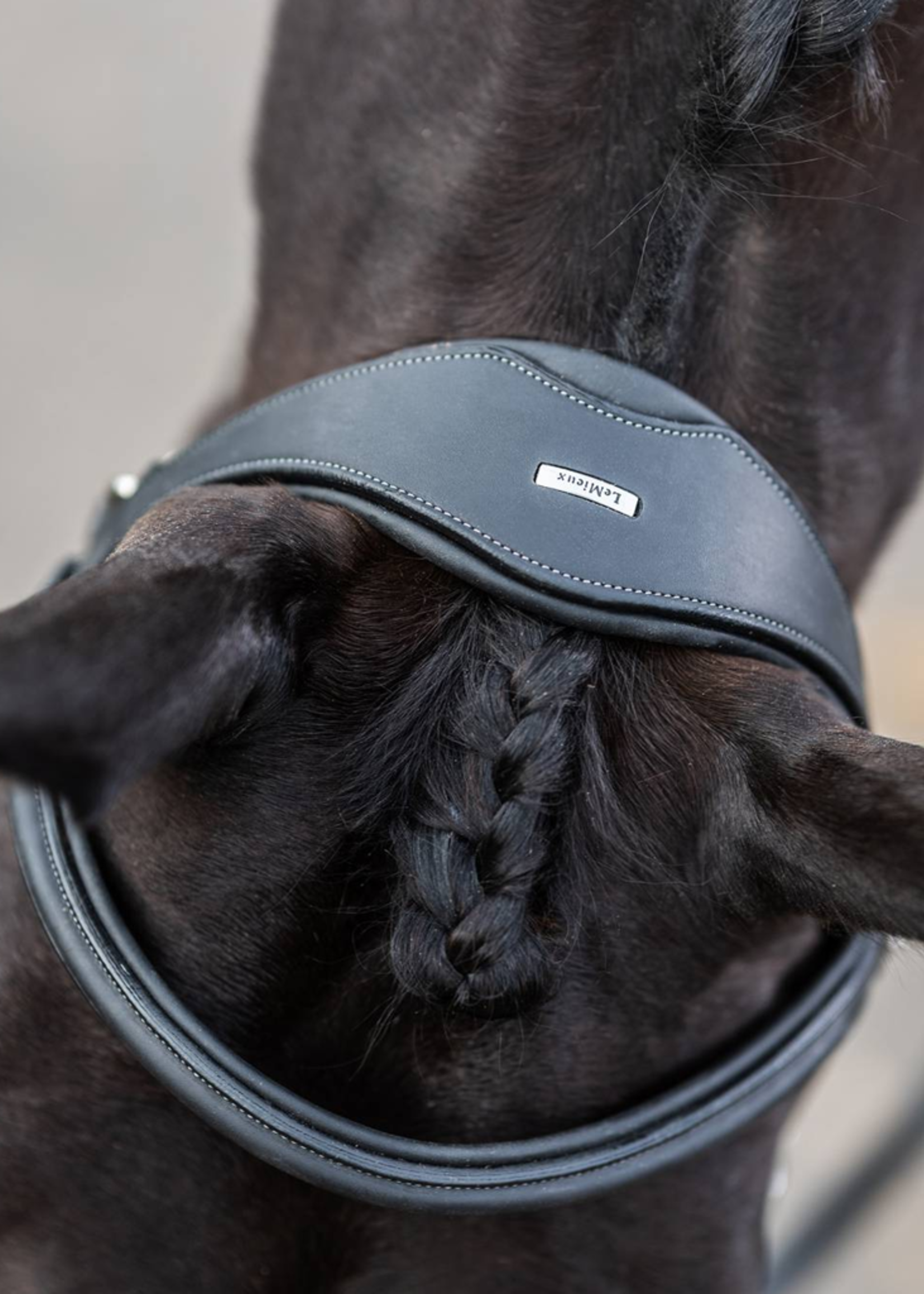 LeMieux Lemieux Kudos Work  Hoofdstel