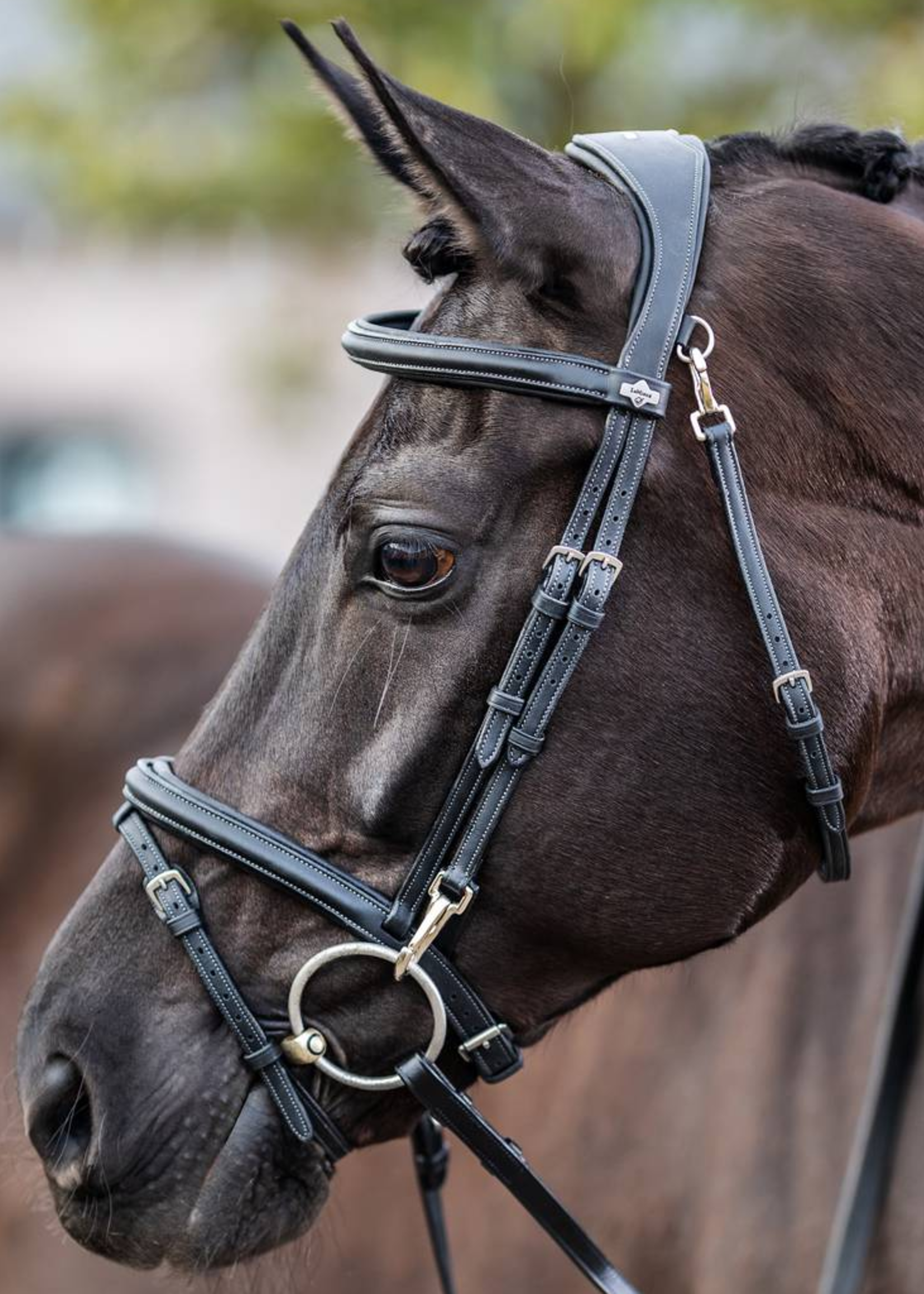 LeMieux Lemieux Kudos Work  Hoofdstel