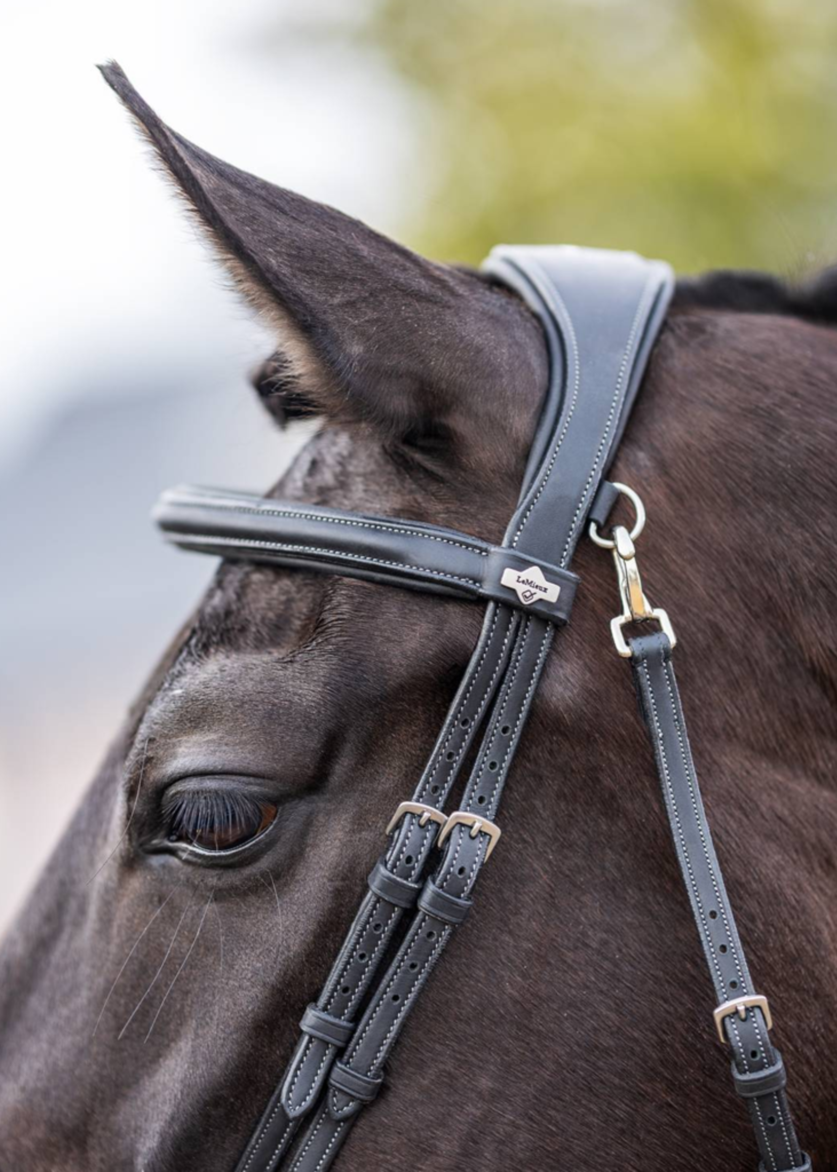 LeMieux Lemieux Kudos Work  Hoofdstel