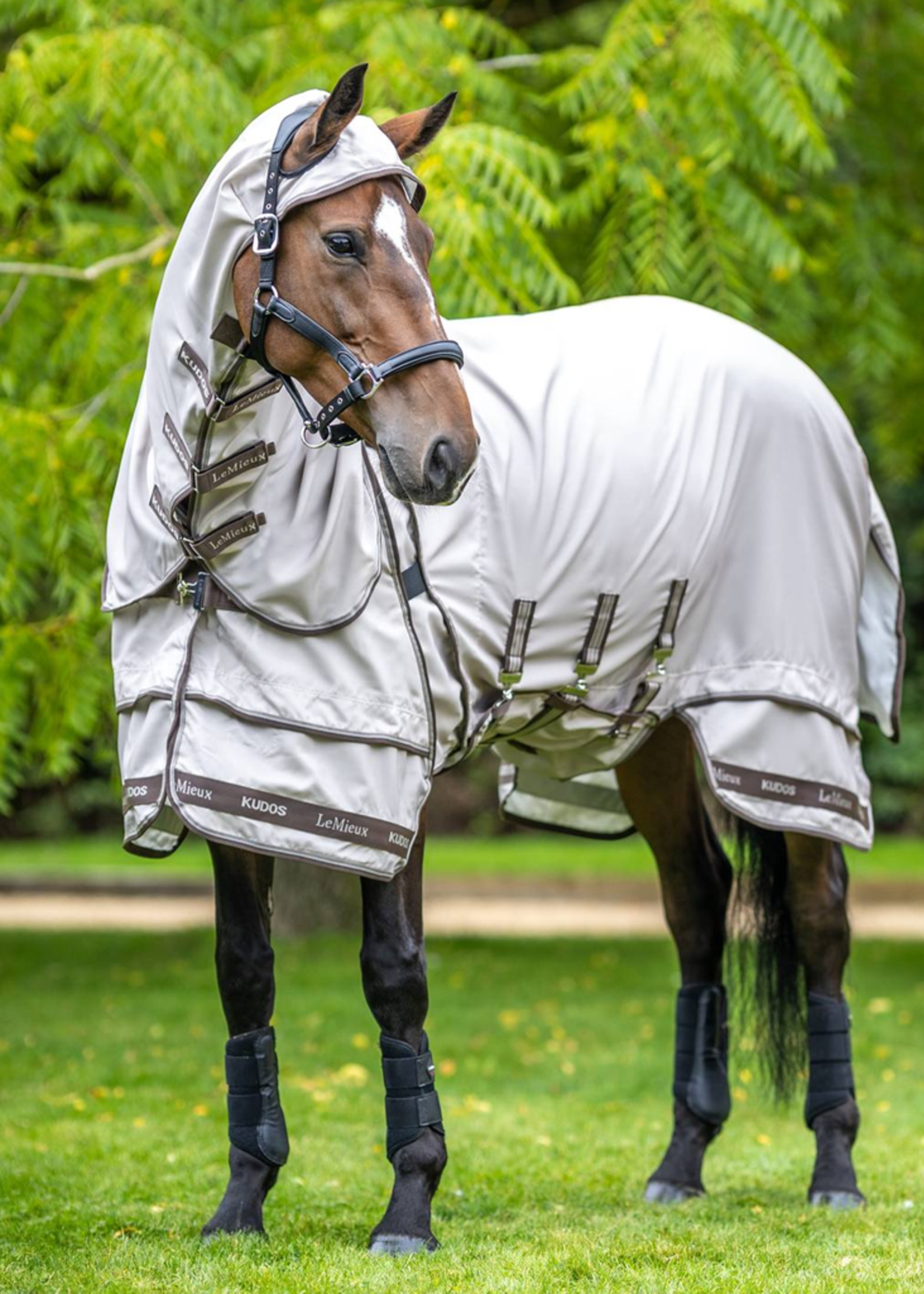LeMieux Lemieux Kudos Sweet Itch  Vliegen  Deken