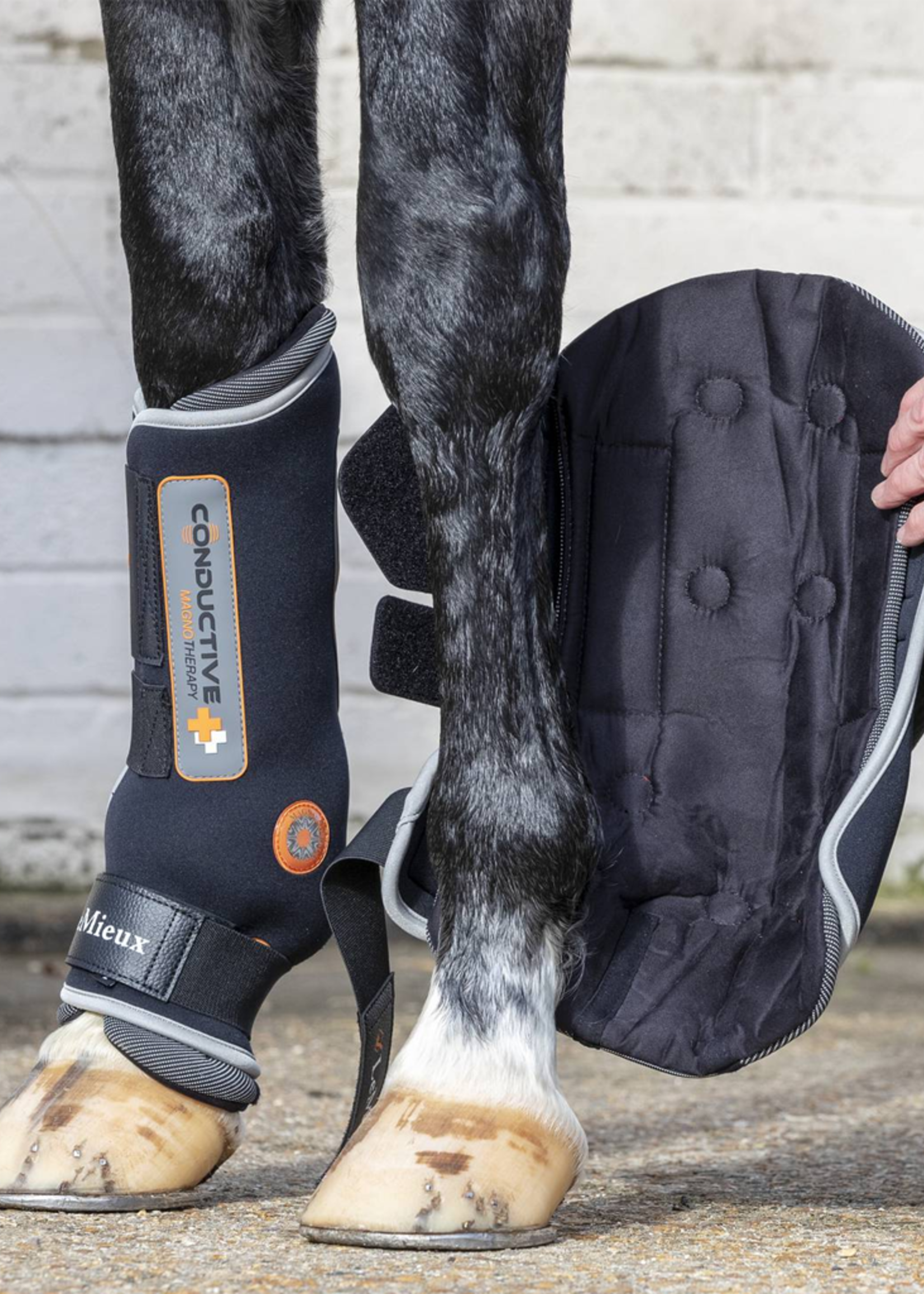 LeMieux Lemieux Magnotherapy Boots Beenbeschermers