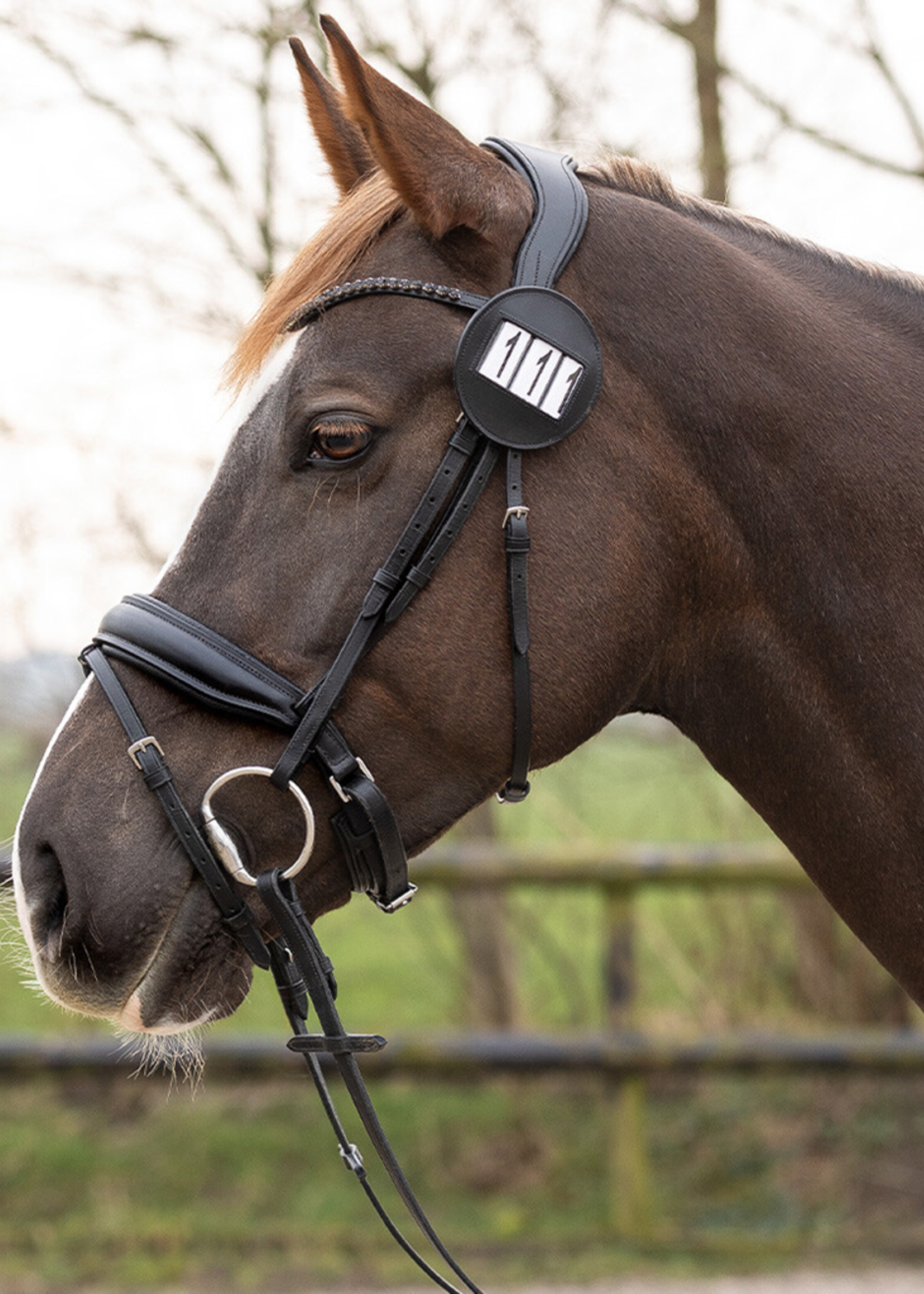 QHP QHP Nummerhouder Modeste 2230