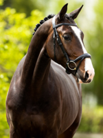 BR BR Longridge Hoofdstel