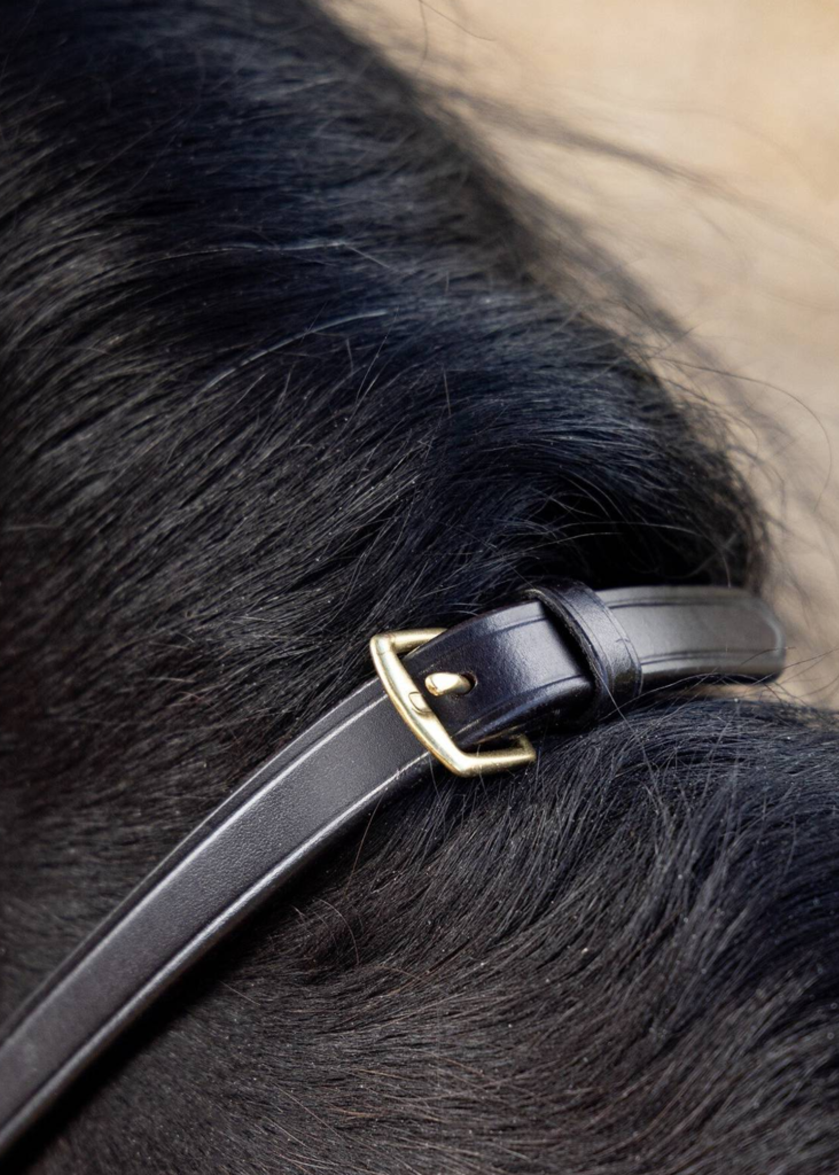 LeMieux Lemieux Magna Rubber Teugels