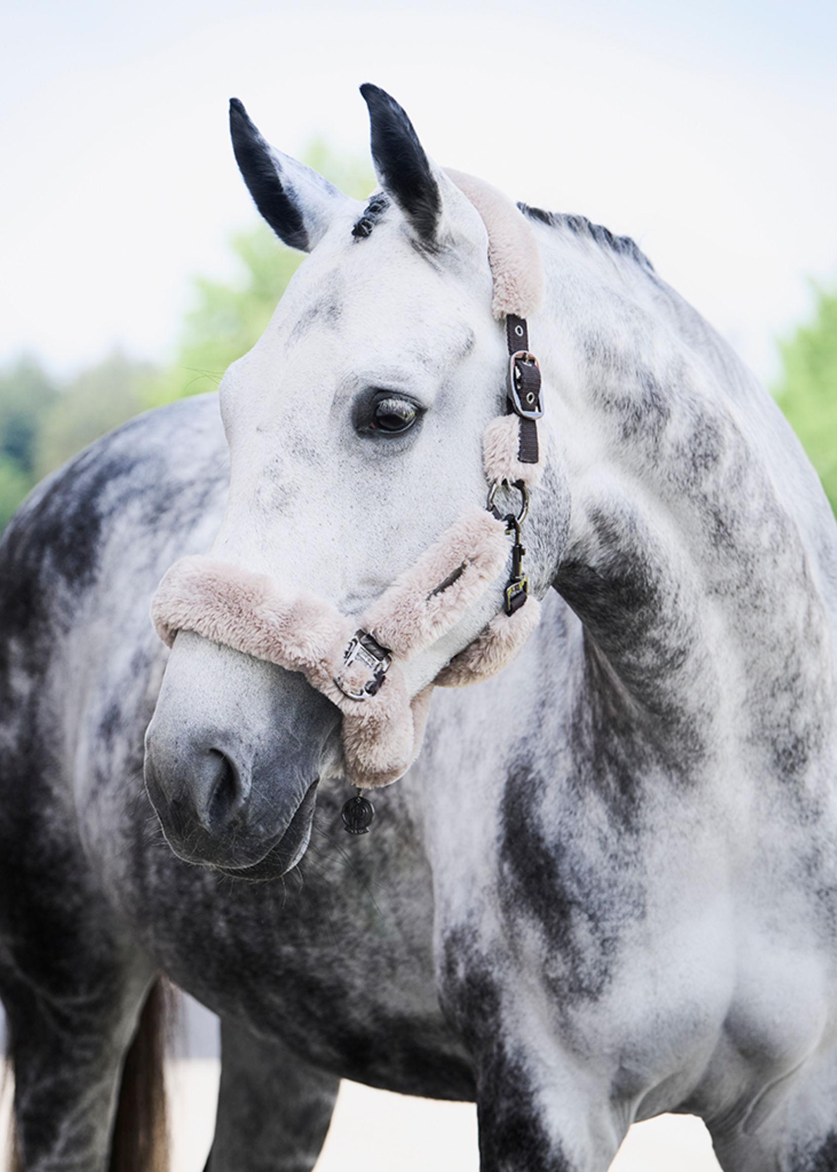 Eskadron Eskadron Platinum Double Pin  Complete Fauxfur  Halster 421040