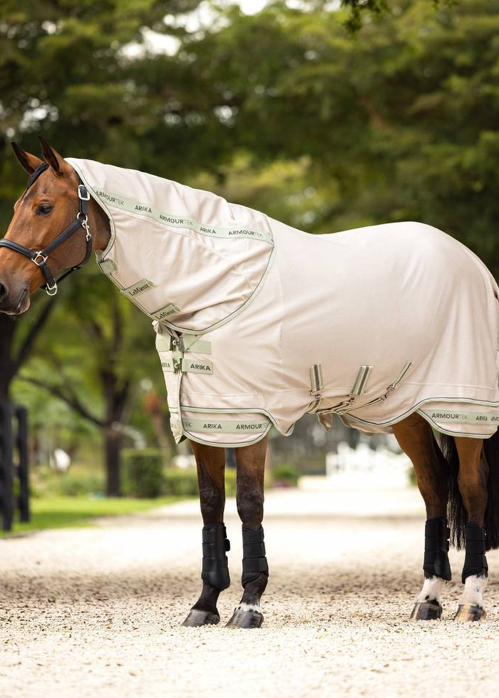 LeMieux Lemieux Arika Armour-Tek M Afneenbare Hals Vliegen  Deken