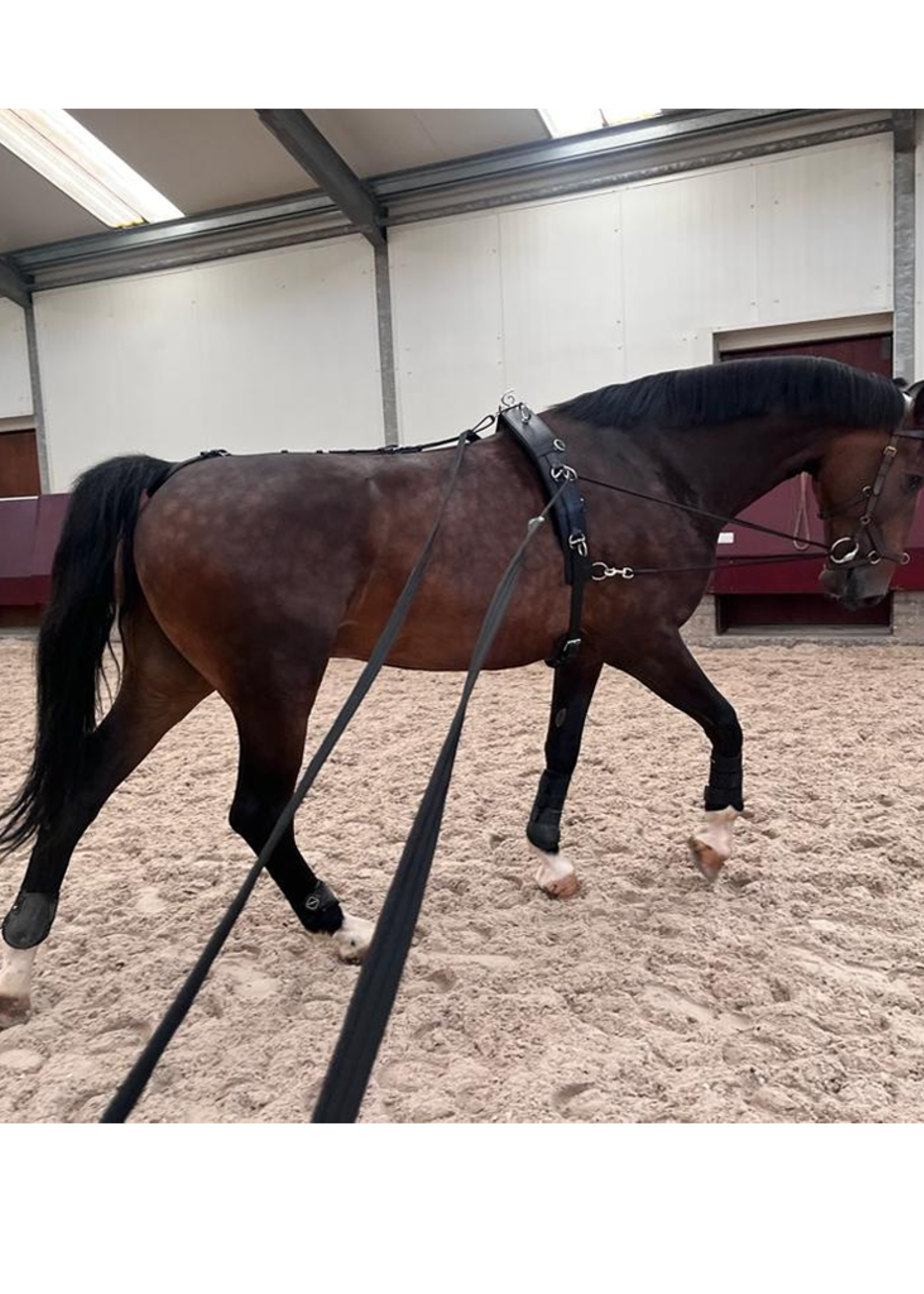 Ideal Ideal Dubbele Longeerlijn