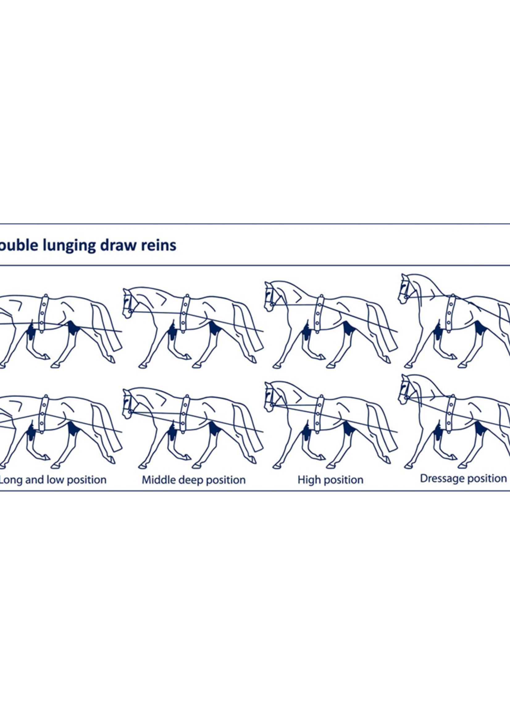 Ideal Ideal Dubbele Longeerlijn
