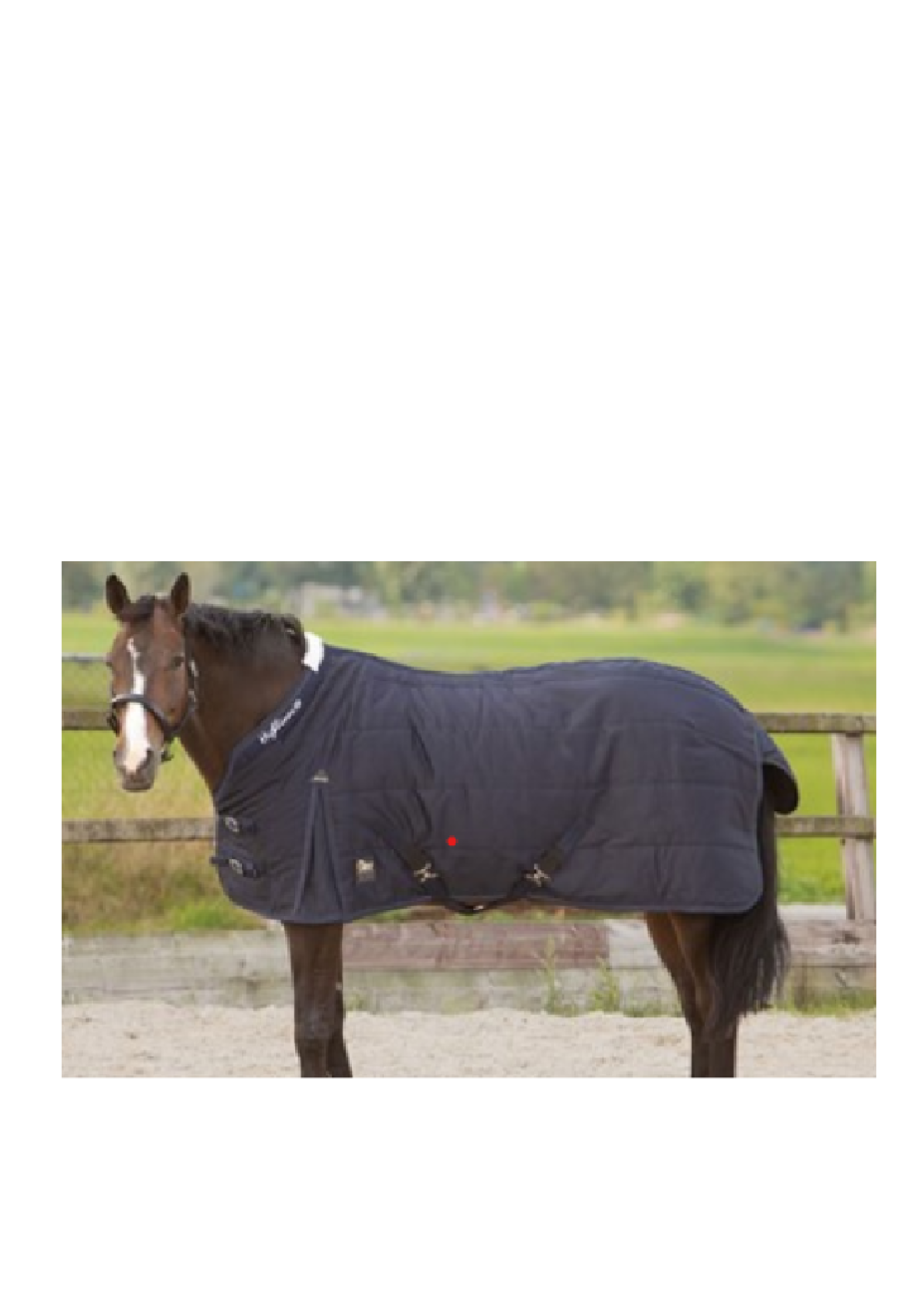 Harry’s horse Harry Highliner Stal Deken 300gr 32206532