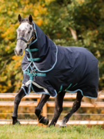 Horseware Horseware Amigo Bravo 12 Plus  250gr Waterdicht deken
