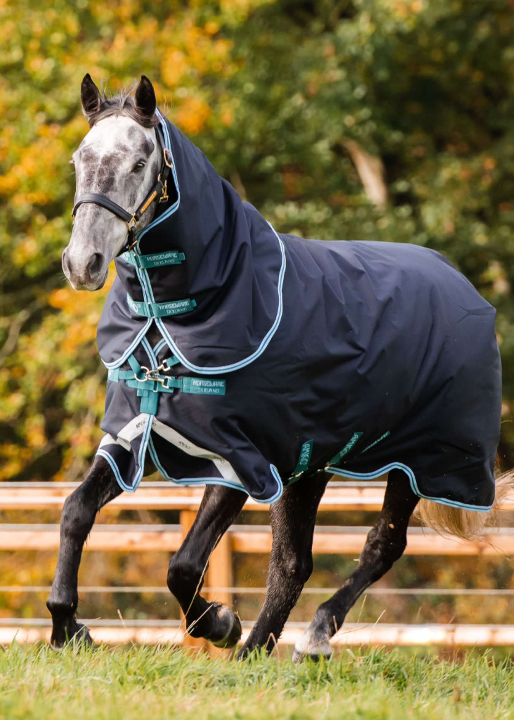 Horseware Horseware Amigo 1200D Plus  250gr Waterdicht deken