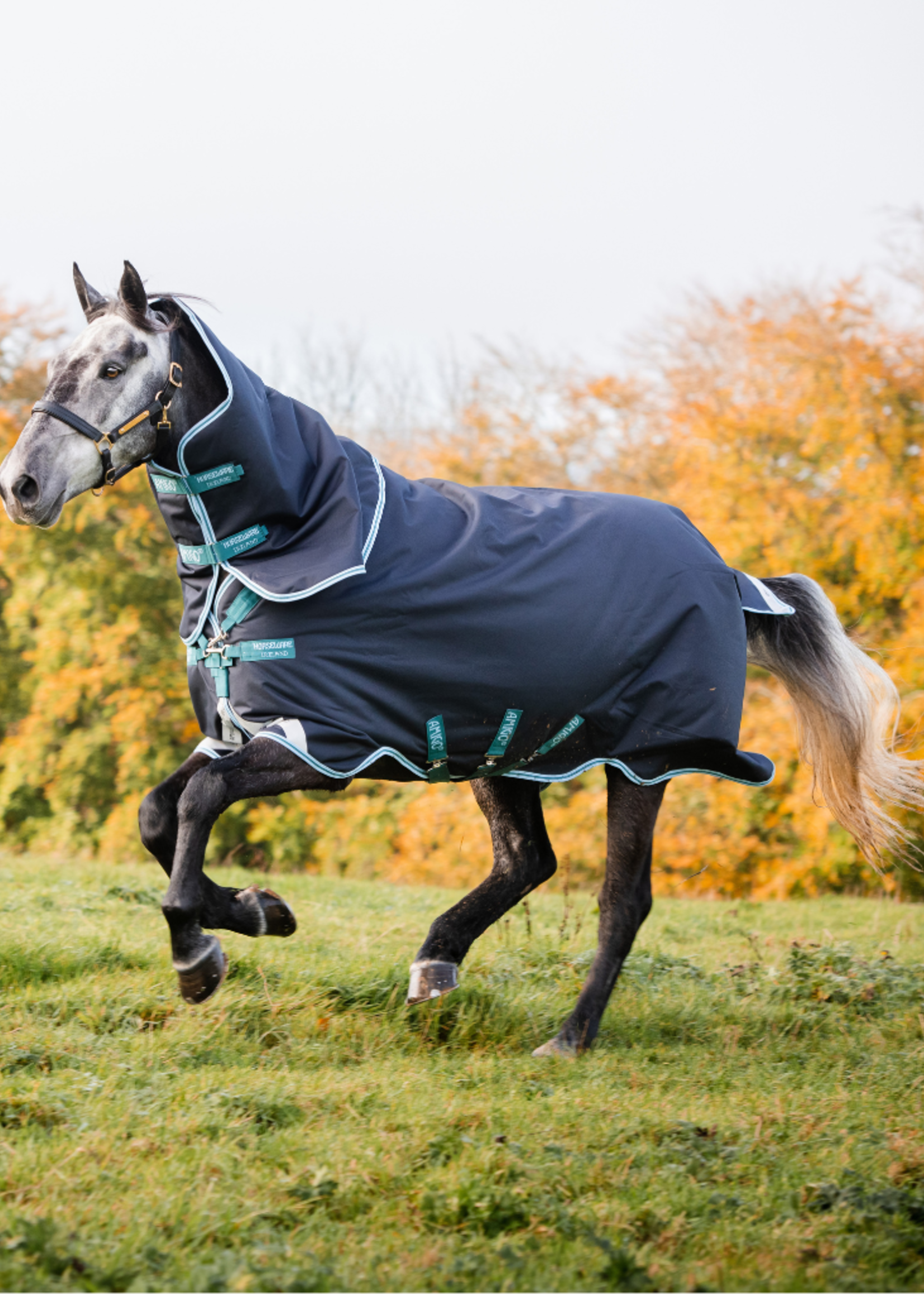 Horseware Horseware Amigo 1200D Plus  250gr Waterdicht deken
