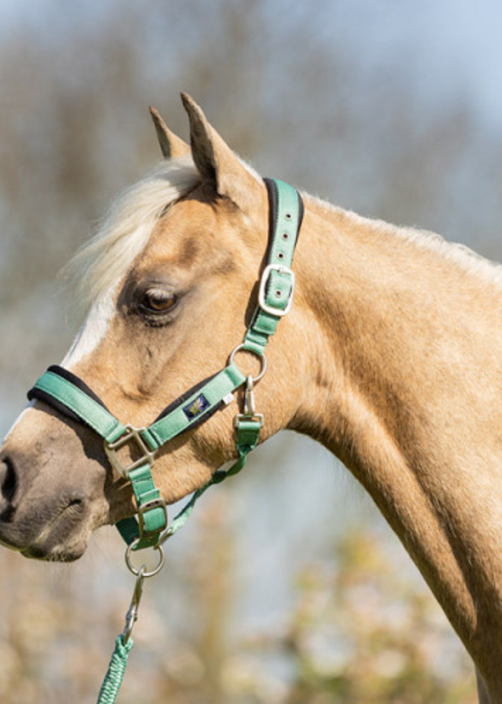 BR BR Mini Horse M Touw Halster 232332