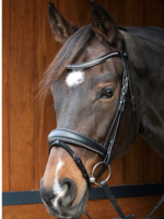 Harry’s horse Harry Petit Crystal Hoofdstel