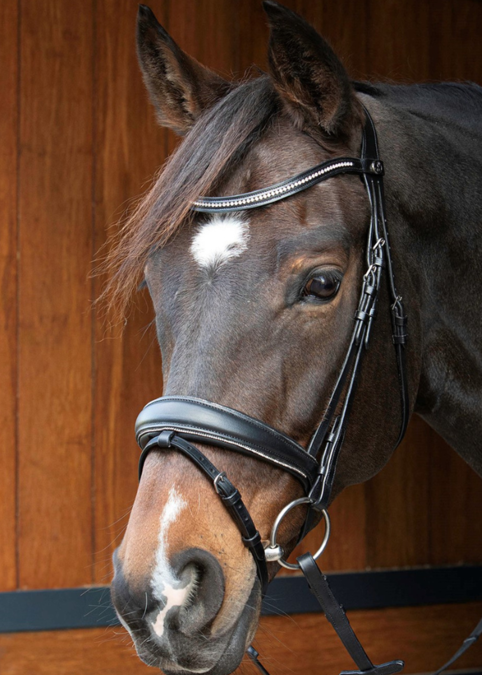 Harry’s horse Harry Petit Crystal Hoofdstel 28000074