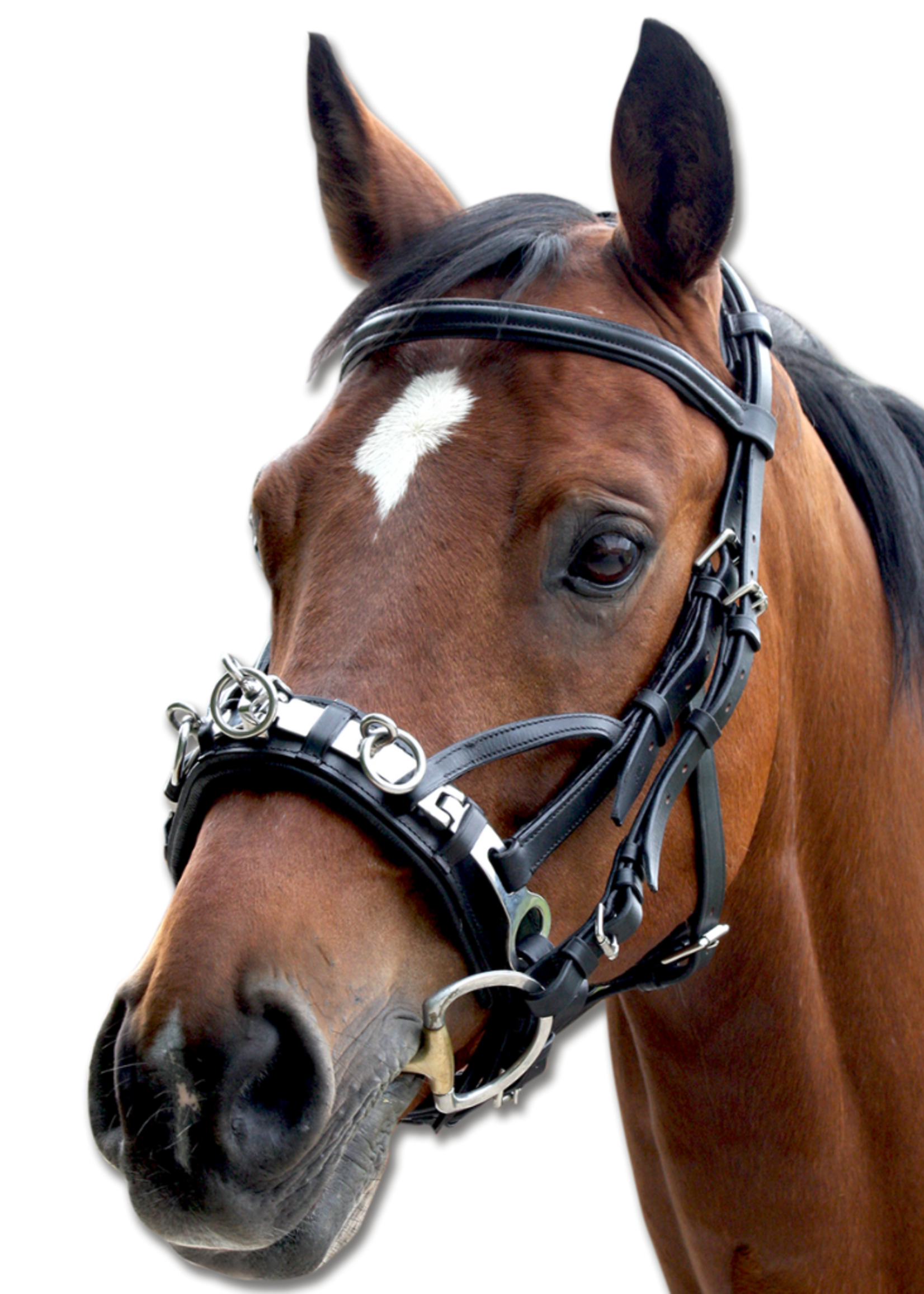 Waldhausen Waldh Leren  Kaptoom  95601