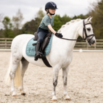 Pony zadels 