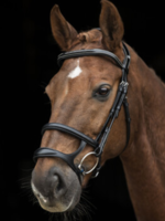 LJ Leathers LJ Pro, Legacy/Gotha Hoofdstel