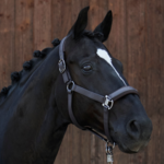 Halsters & Toebehoren