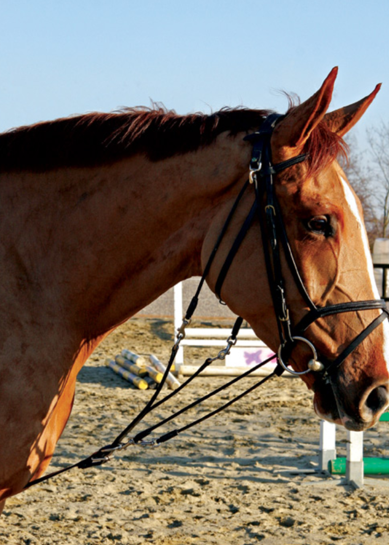 LJ Leathers Lj Gogue