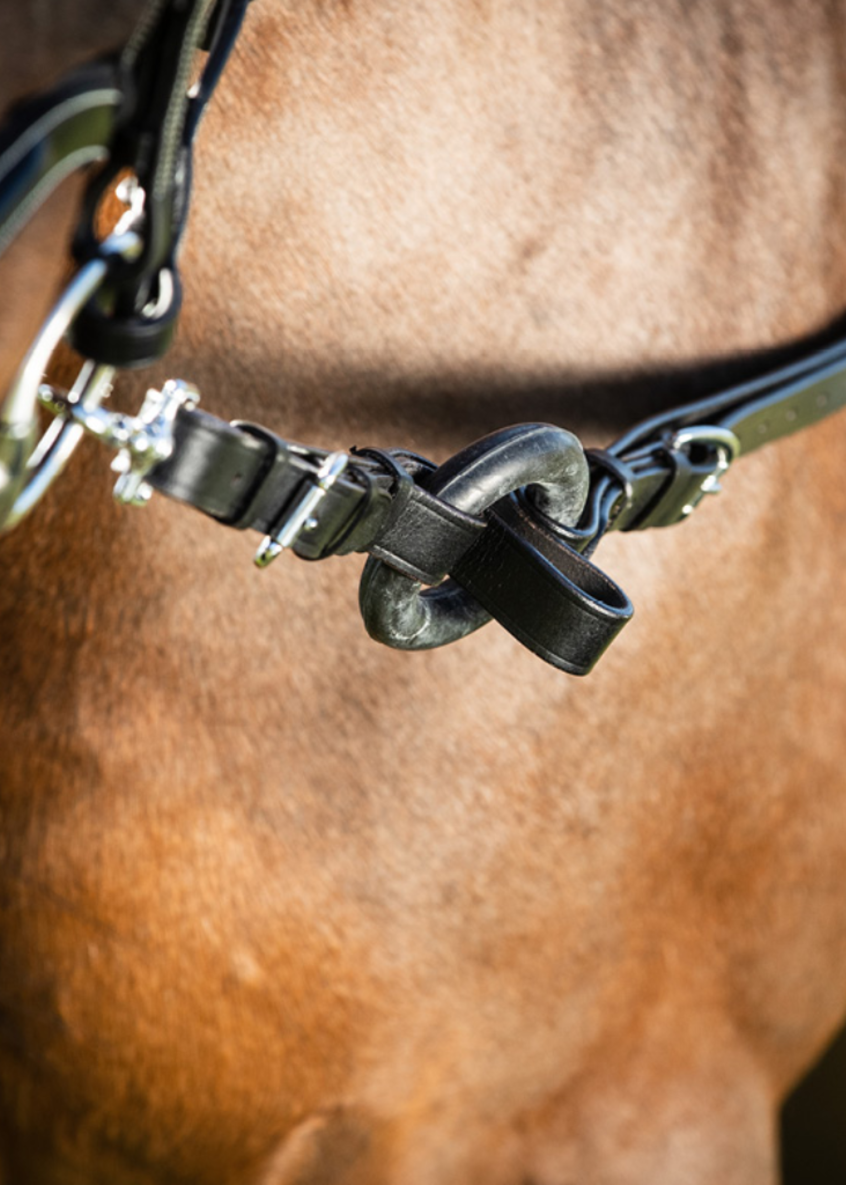 HFI HFI Bijzetteugel Leer