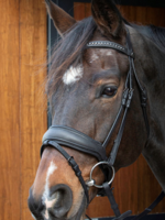 Harry’s horse Harry Soft Bombastic Hoofdstel