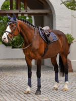 LeMieux Lemieux Loire  Dekje