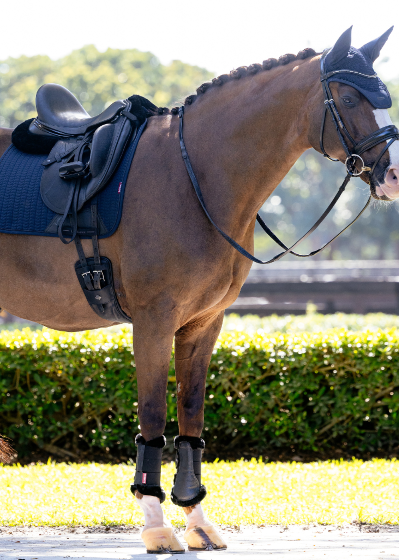 LeMieux Lemieux  Finesse Square Dekje