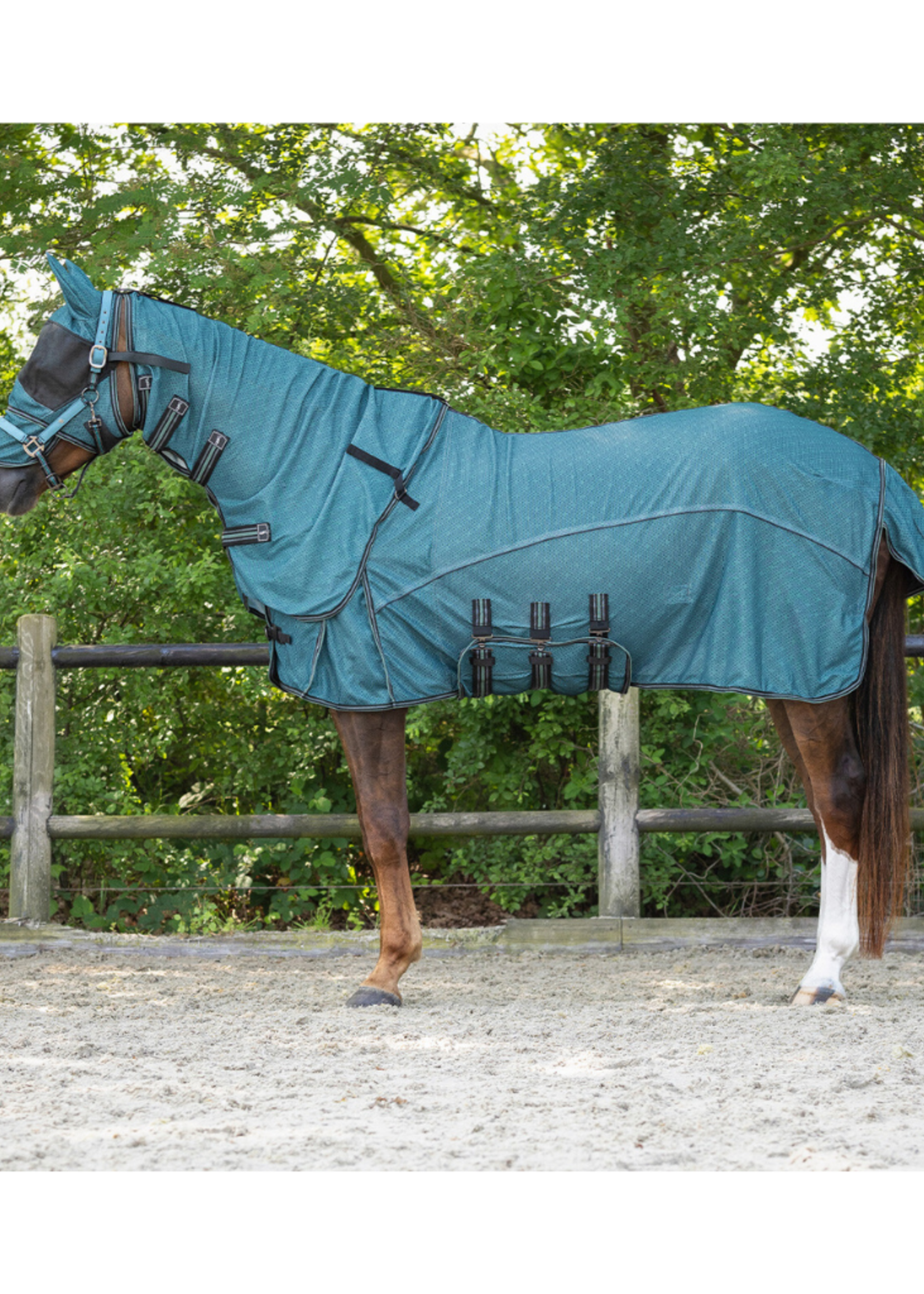 QHP QHP Vliegendeken met nek en kap 6373