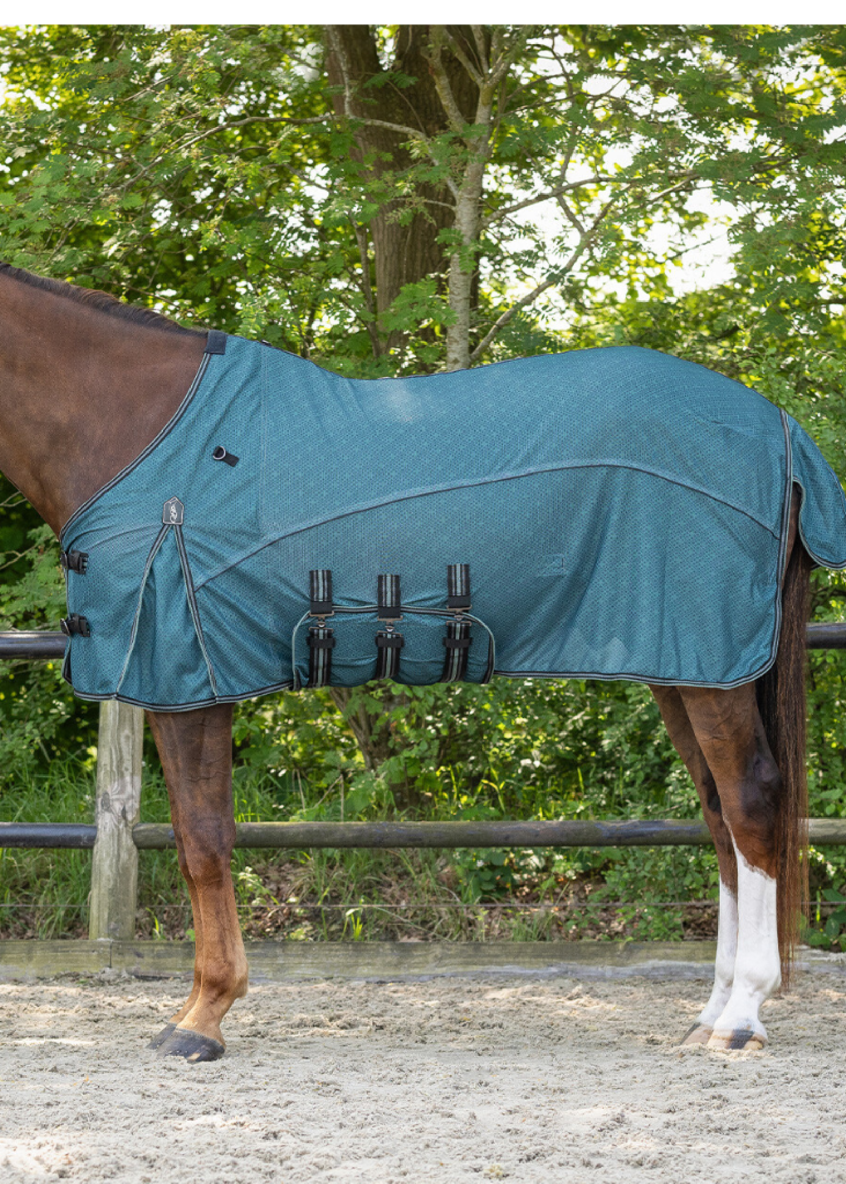 QHP QHP Vliegendeken met nek en kap 6373