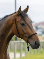 Norton Norton Fijn Touw Halster