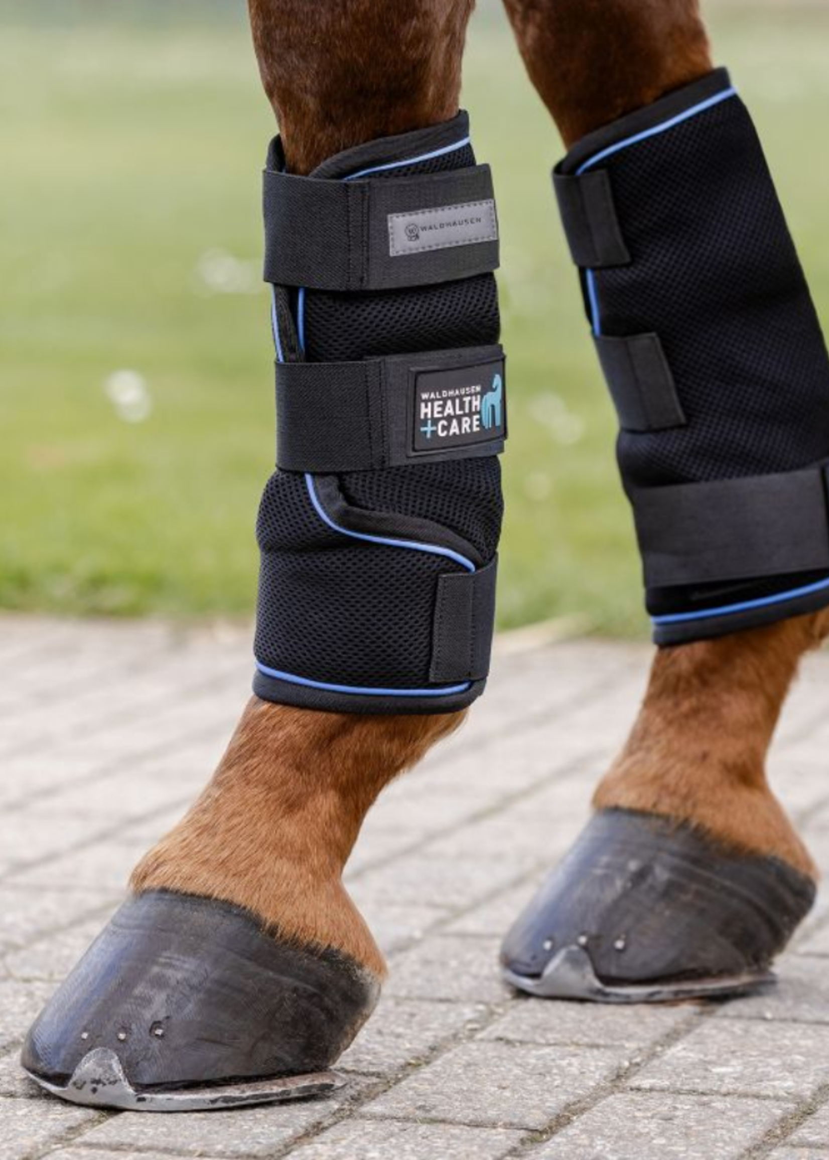 Waldhausen Waldh Health + Care Ice Layer Boots paar 37532