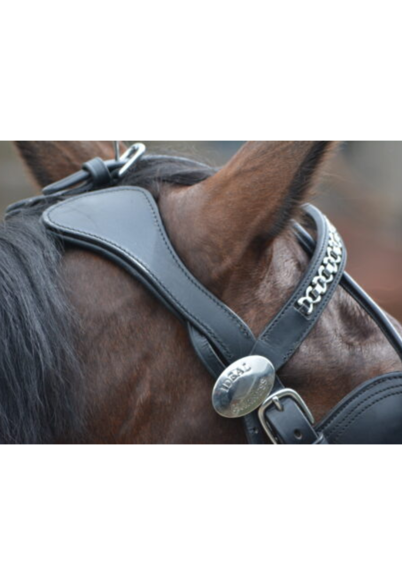 Ideal Ideal Luxe Anatomic Hoofdstel